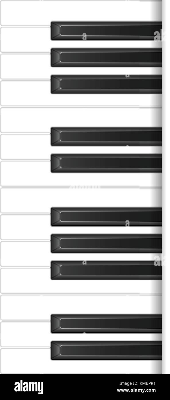 Tastiera di pianoforte su uno sfondo bianco. Illustrazione Vettoriale