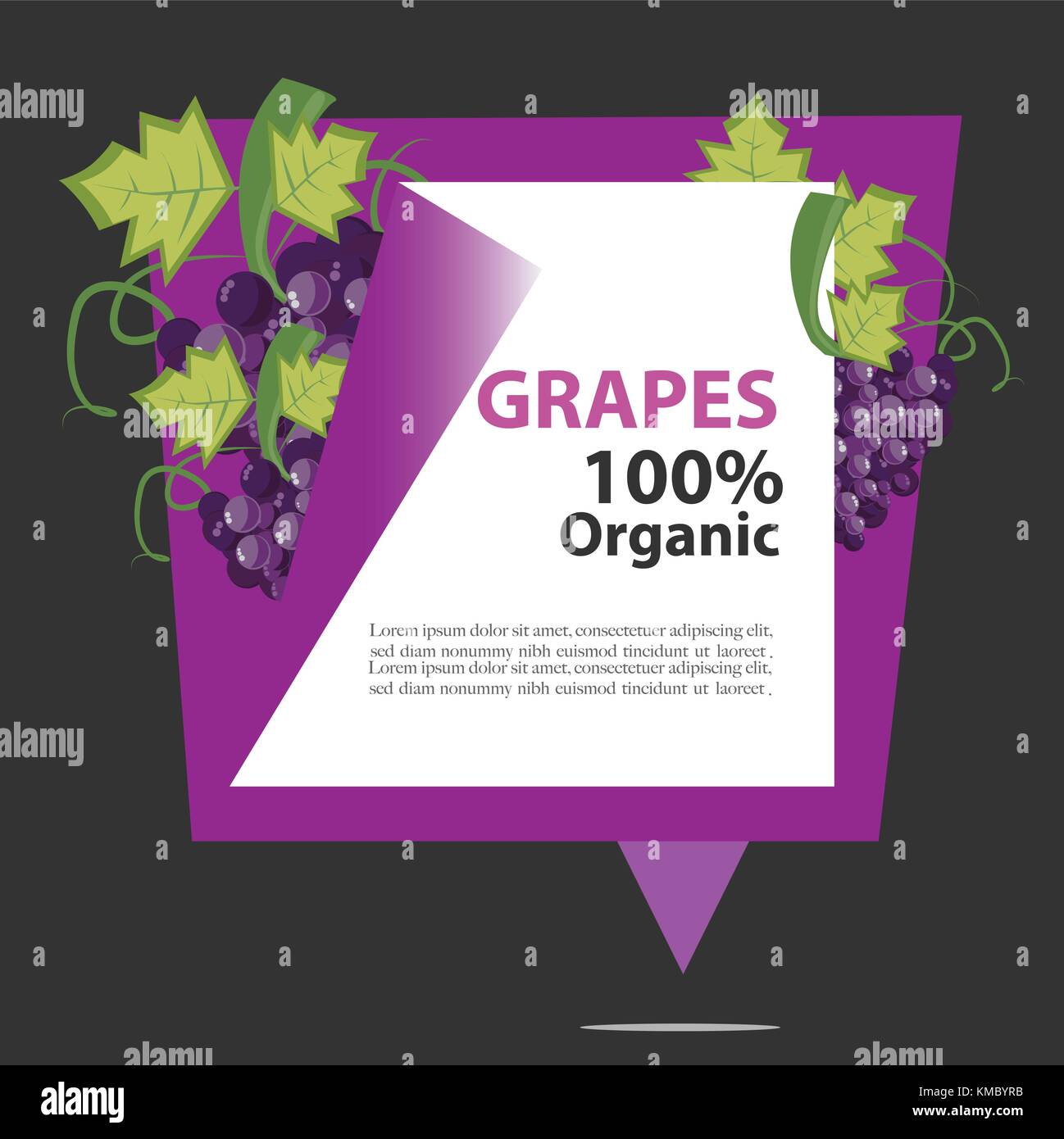 Vettore uve banner organico 100%. Illustrazione Vettoriale