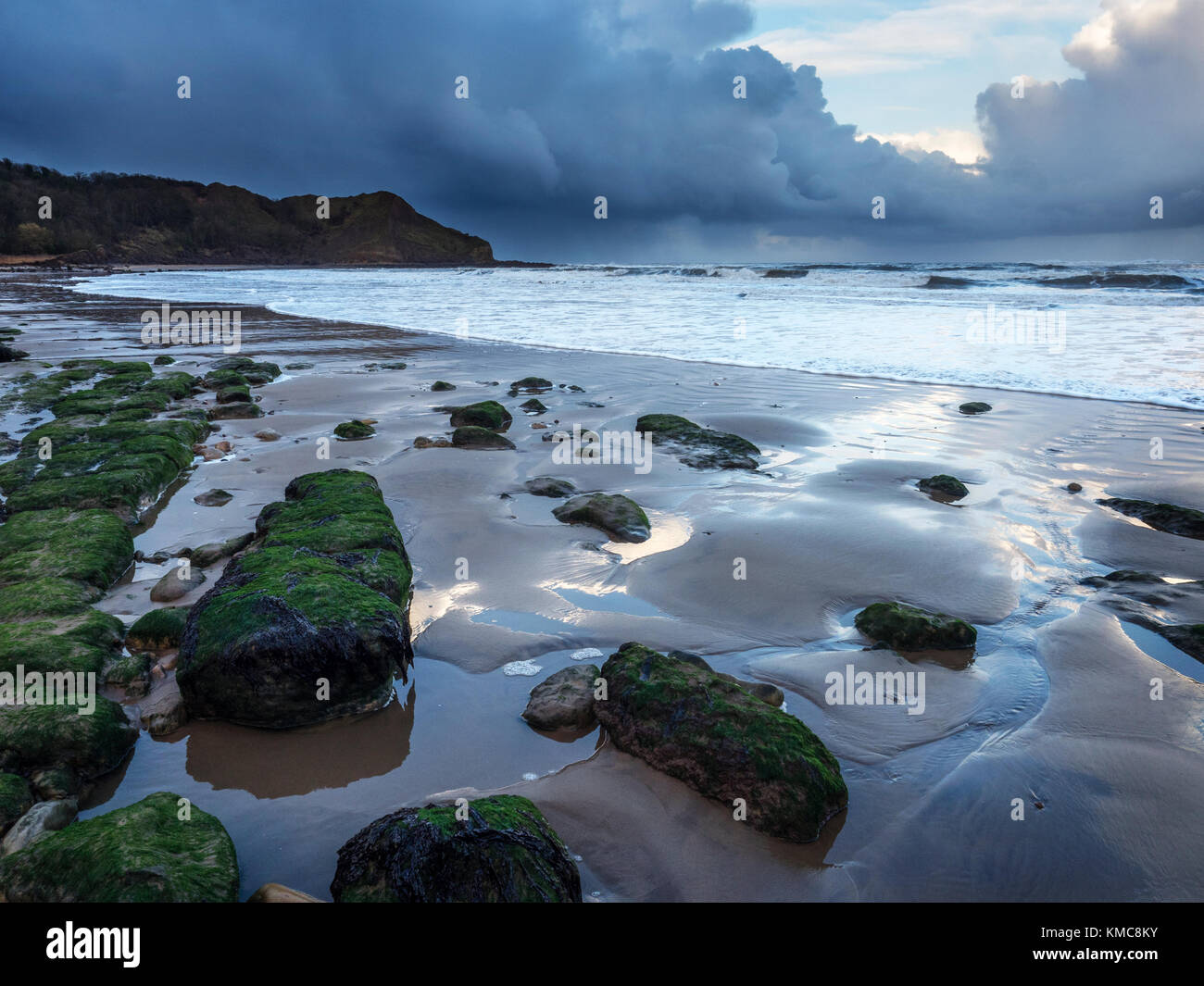 Le alghe coperto rocce sulla spiaggia e Osgodby punto o Punto Knipe Cayton Bay Scarborough North Yorkshire Inghilterra Foto Stock