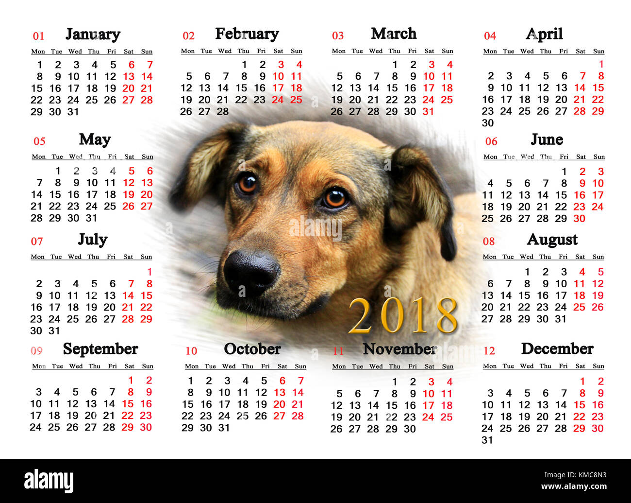 Calendario per il 2018 con l'immagine di un bel tipo cane. cane come un simbolo di 2008 anni Foto Stock