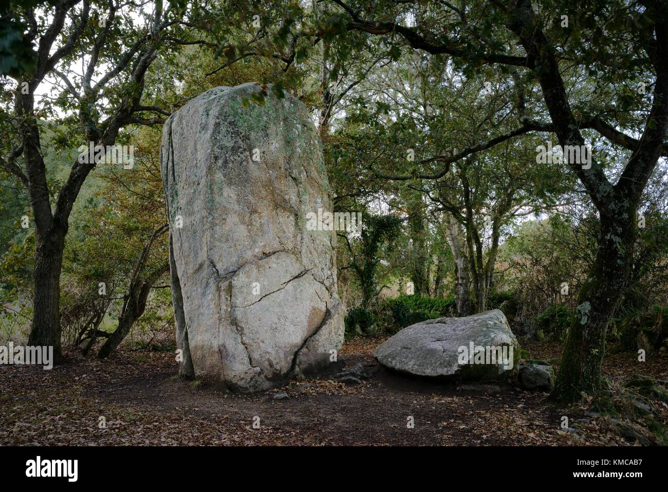 Uno dei Giganti Kerzerho, 5000 anno di età preistorica megaliti del neolitico, accanto alla tavola di sacrifici. Erdeven, vicino a Carnac, Brittany, Francia Foto Stock