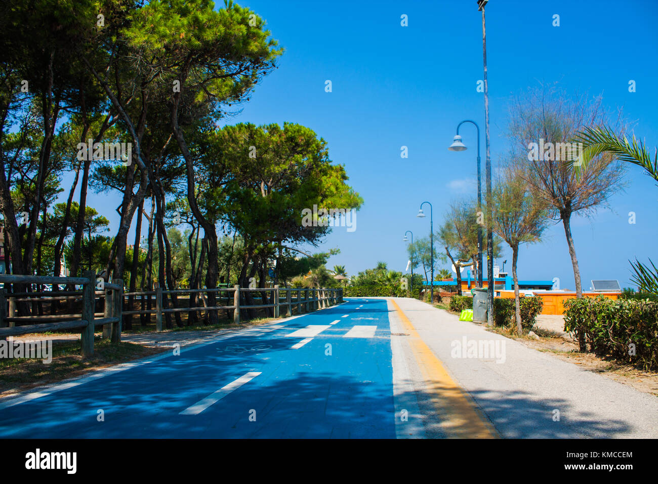 Pista ciclabile del litorale adriatico. riva del mare della città di Alba  Adriatica in Italia, pini sul lato, estate giornata di sole Foto stock -  Alamy