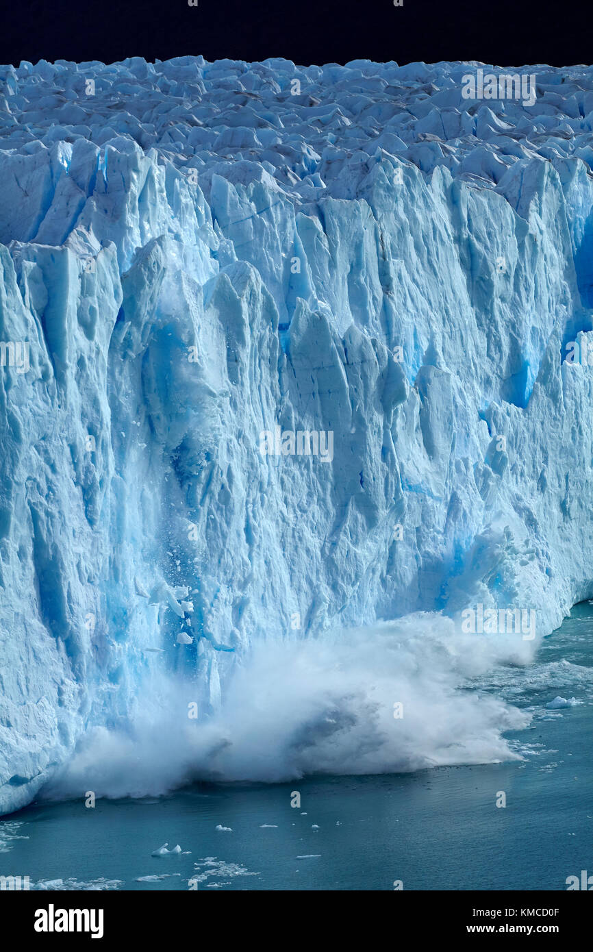 Rompere il ghiaccio fuori la faccia terminale del ghiacciaio Perito Moreno, Parque Nacional Los Glaciares (area del patrimonio mondiale), Patagonia, Argentina, Sud America Foto Stock
