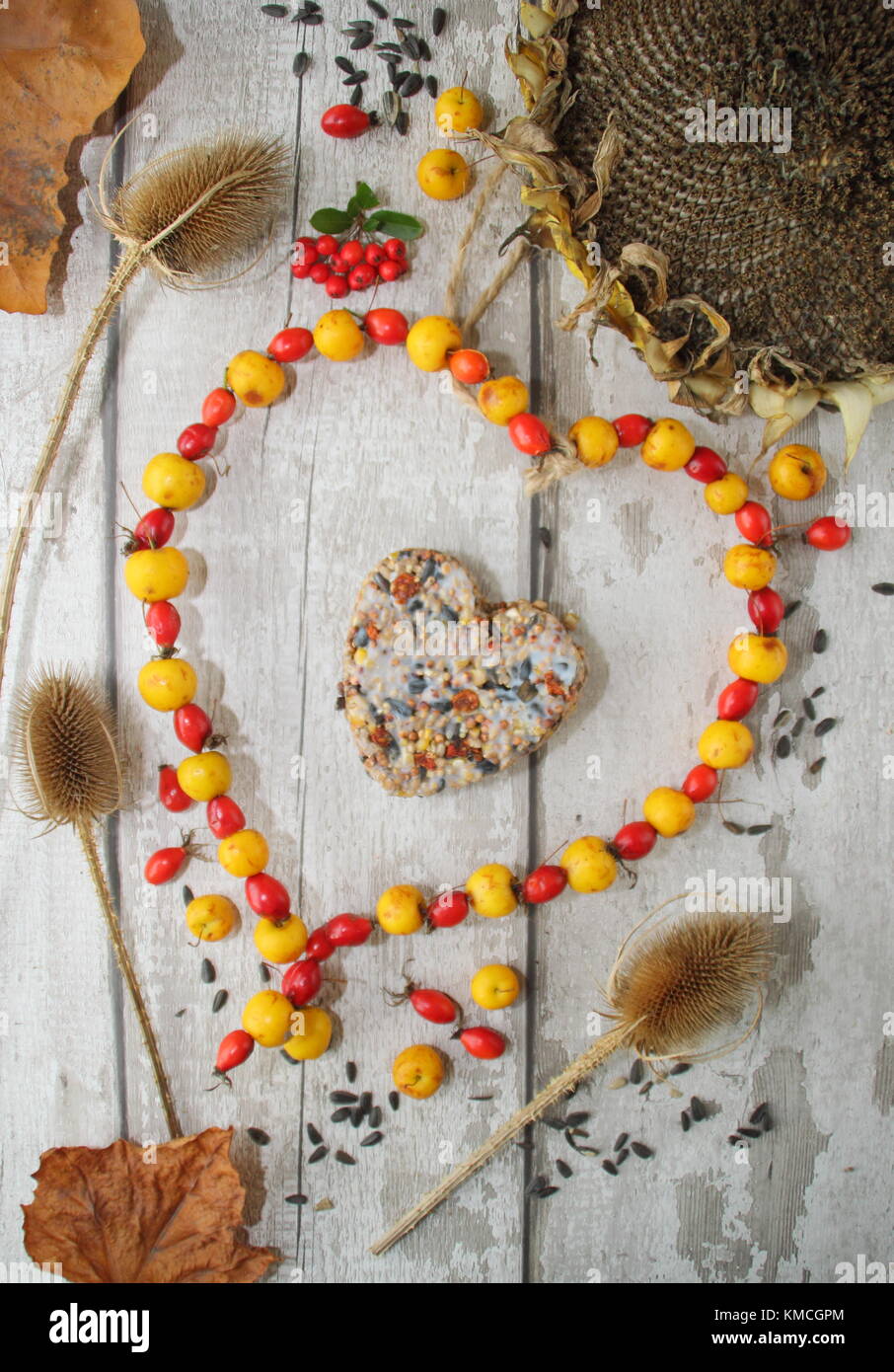 Visualizzazione di alimenti per uccelli: teasels secchi, semi di girasole, grasso e torte fatte in casa a forma di cuore bird feeder con il granchio le mele e cinorrodi filettata sul filo REGNO UNITO Foto Stock