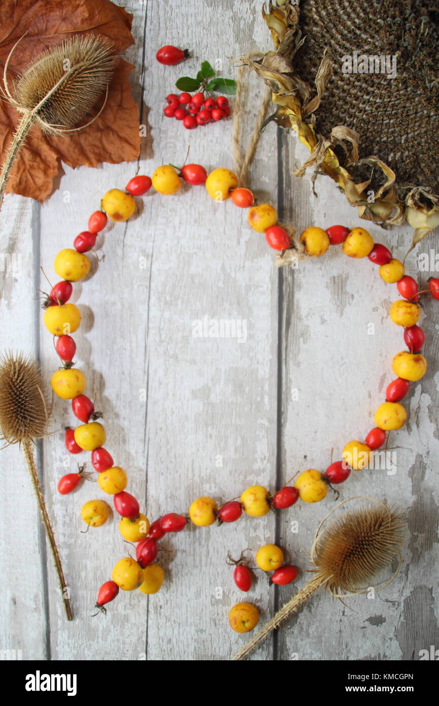 Visualizzazione di alimenti per uccelli: teasels secchi, semi di girasole e in casa a forma di cuore ad bird feeder con il granchio le mele e cinorrodi filettata sul filo del giardino, REGNO UNITO Foto Stock