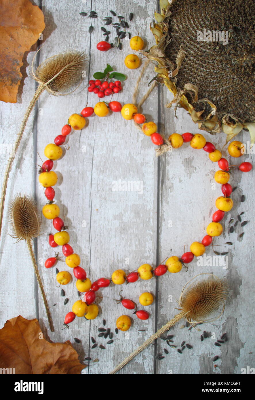Visualizzazione di alimenti per uccelli: teasels secchi, semi di girasole e in casa a forma di cuore ad bird feeder con il granchio le mele e cinorrodi filettata sul filo del giardino, REGNO UNITO Foto Stock
