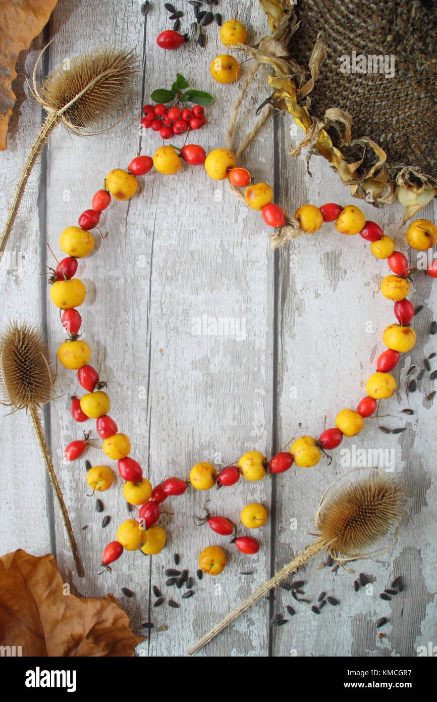 Visualizzazione di alimenti per uccelli: teasels secchi, semi di girasole e in casa a forma di cuore ad bird feeder con il granchio le mele e cinorrodi filettata sul filo del giardino, REGNO UNITO Foto Stock