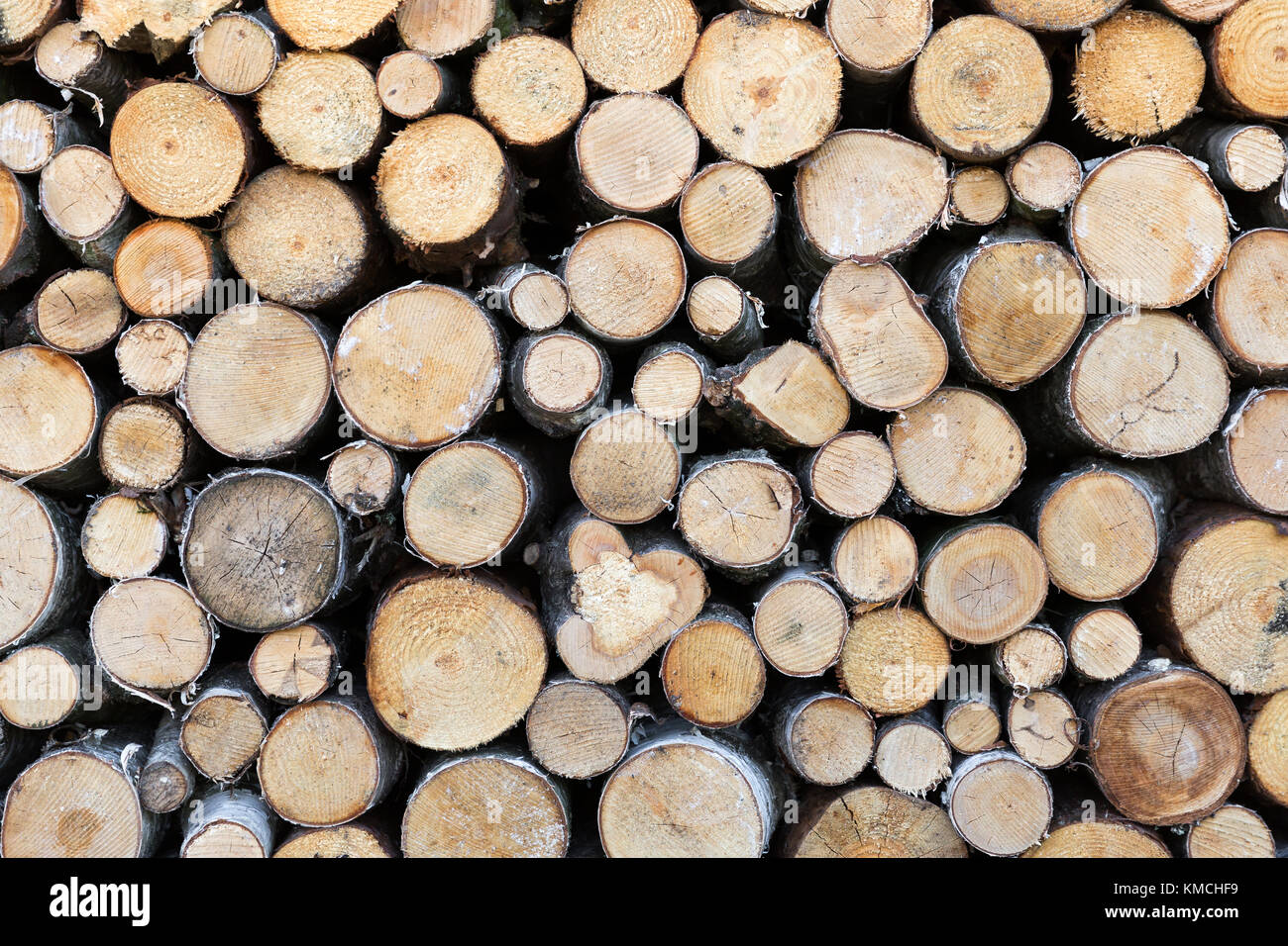 Primo piano di taglio di legna da ardere, naturale Sfondo legno Foto Stock