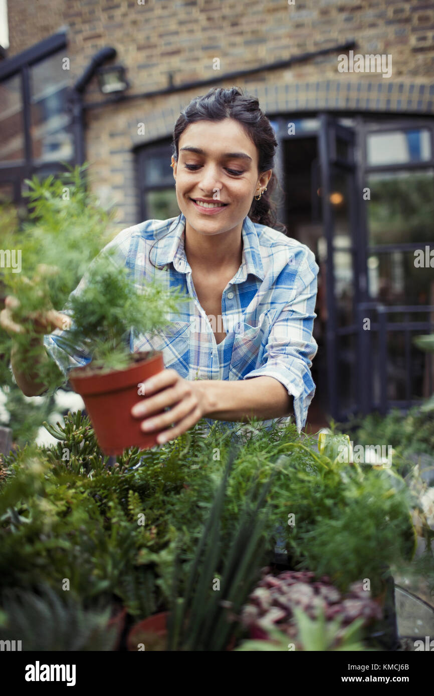 Giovane donna giardinaggio, tenendo in vaso pianta sul patio Foto Stock
