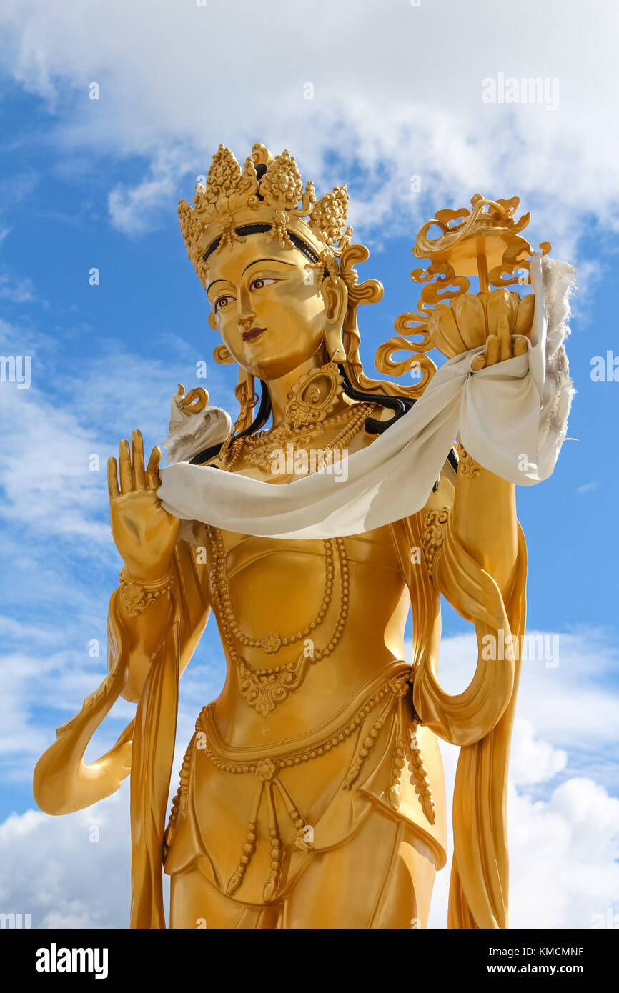 Statua dorata della femmina buddista dio presso il Buddha dordenma tempio, kuensel phodrang natura park, thimphu, Bhutan, asia Foto Stock