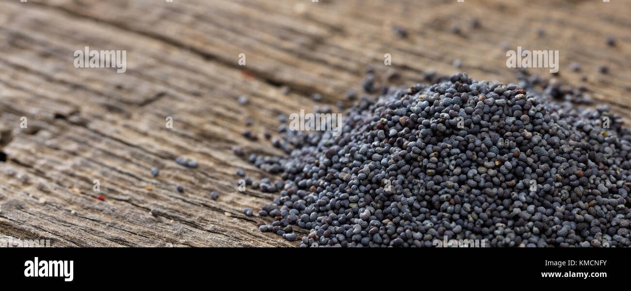 Essiccato di semi di papavero impostato sulla vecchia superficie di legno. Primo piano e spazio per il testo. Foto Stock