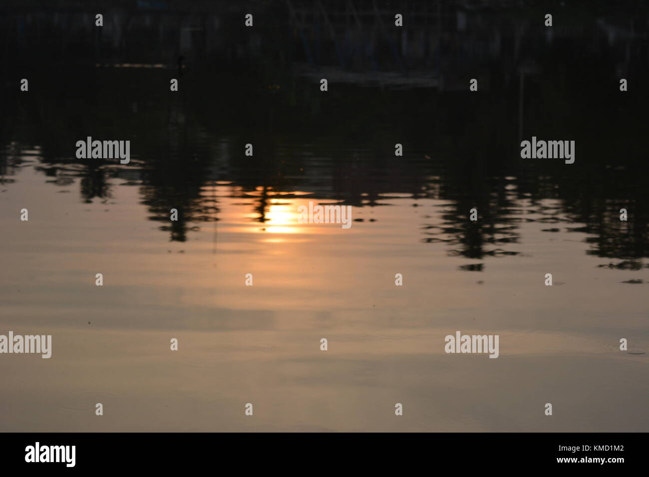 Kolkata, India, il 6 dicembre 2017. La flora e la fauna lungo con british e architettura moderna intorno laldighi al tramonto. lal dighi è un corpo di acqua nel mezzo di b. b. d. bagh, precedentemente conosciuta come Piazza della cisterna o dalhousie square, nel cuore di Kolkata è un devono viaggiare. pesca con la gente del posto è meraviglioso da guardare su ogni sabato una cultura alimentare e la stravaganza sponsorizzato da Bengala occidentale di governo è organizzato. Credito: rupa ghosh/alamy live news. Foto Stock