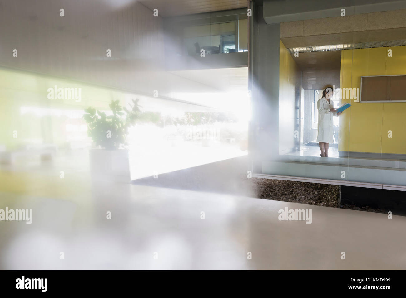 Donna scienziata in piedi alla finestra in ufficio moderno Foto Stock