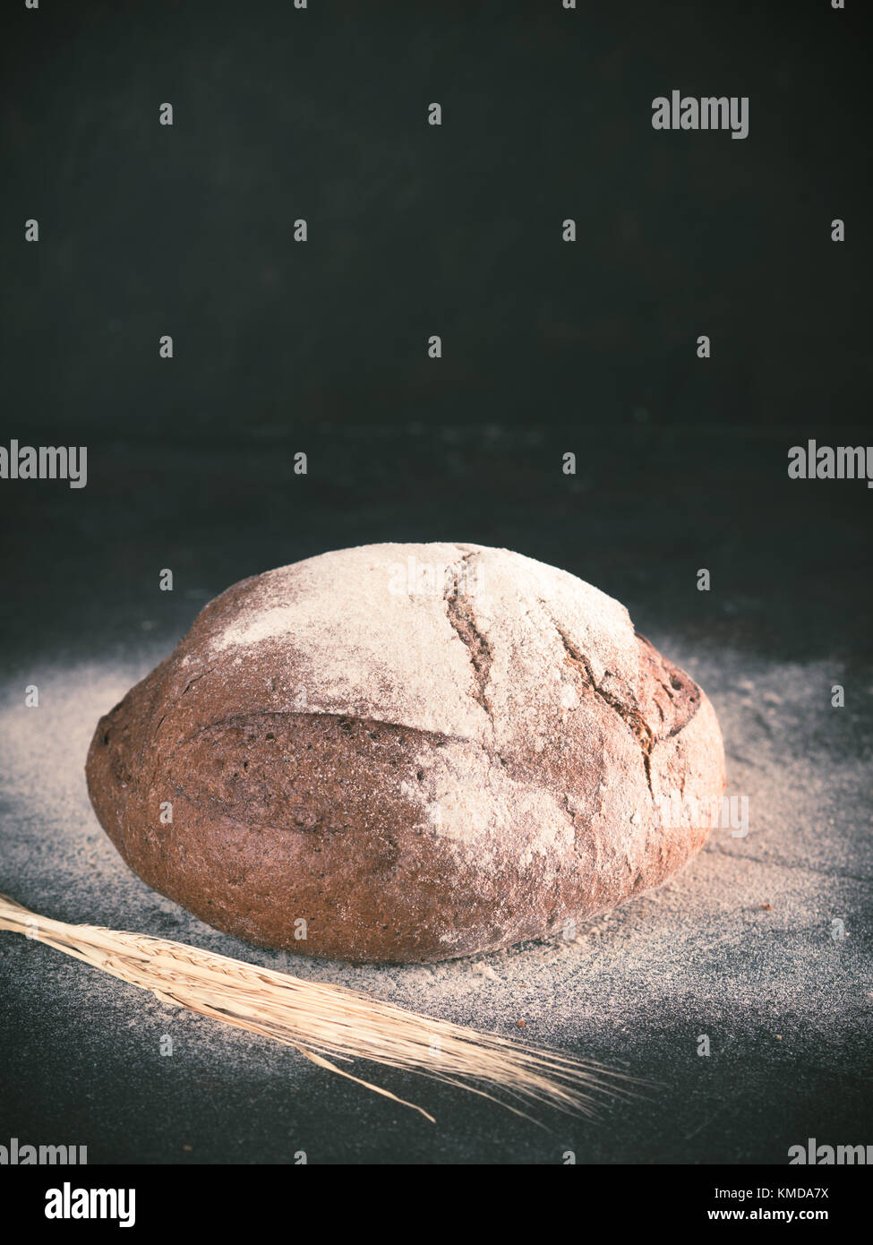 Tutta la pasta madre casalinga del pane di segale, copyspace Foto Stock