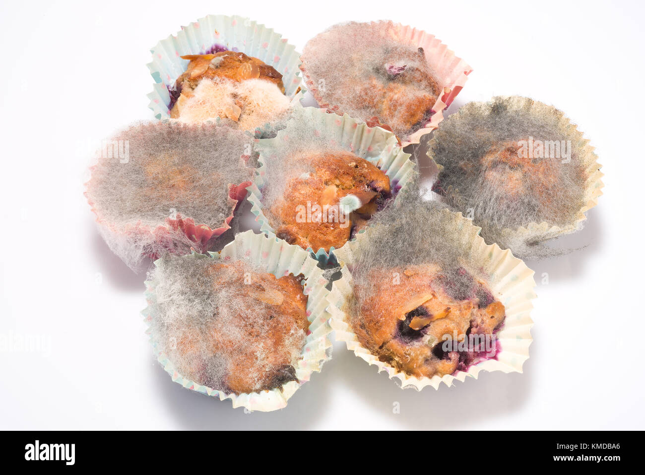 Piccole torte individuali a sinistra per andare vecchio e ammuffito. Foto Stock