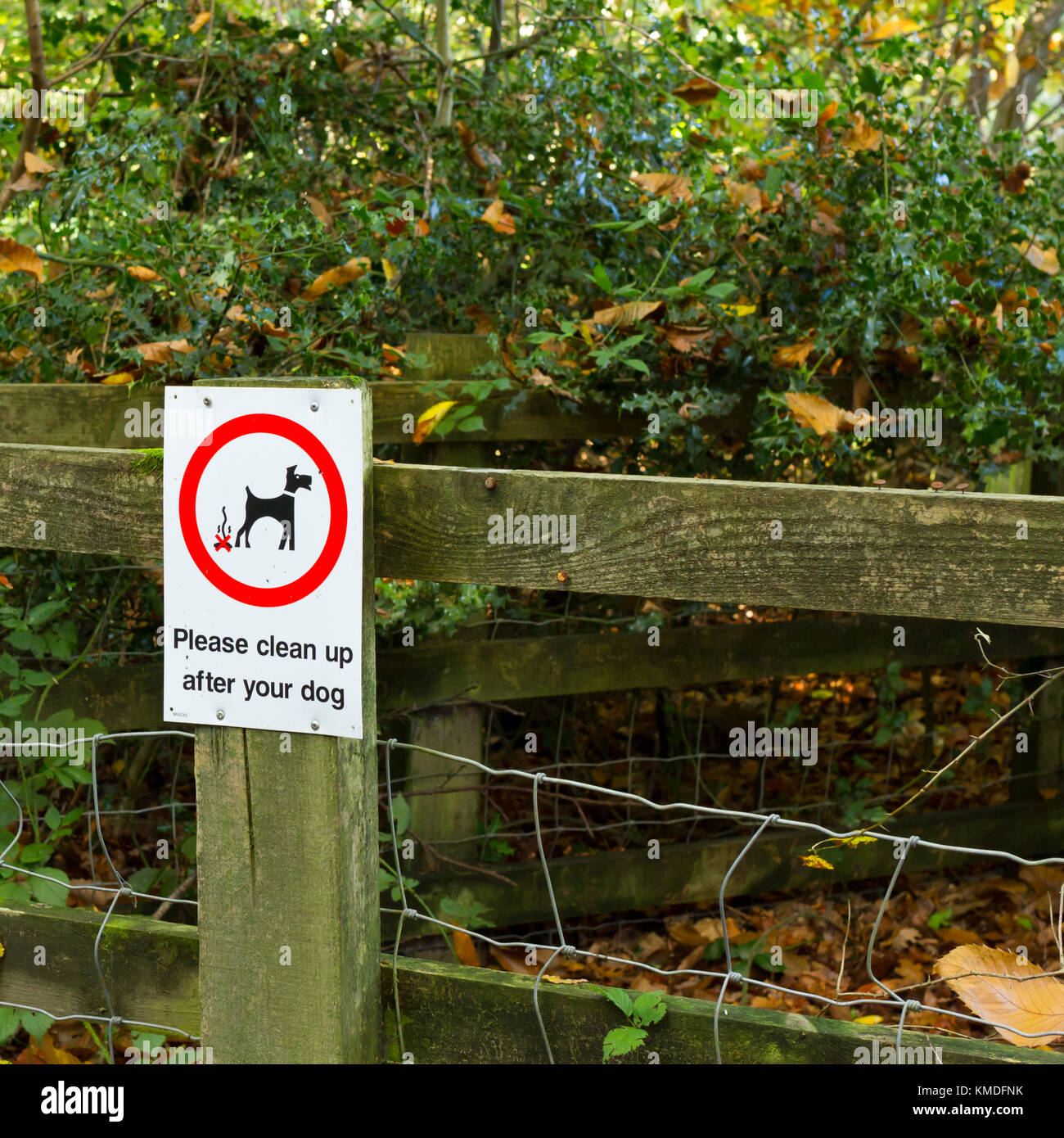 Pulizia dopo il vostro cane avviso in una zona boscosa popolare con cane walkers, Regno Unito Foto Stock
