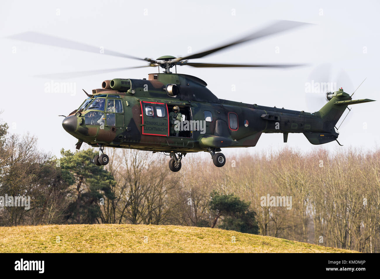 Un Eurocopter AS 532 Cougar trasporto militare elicottero della Royal Netherlands Air Force a Gilze Rijen Air Base. Foto Stock