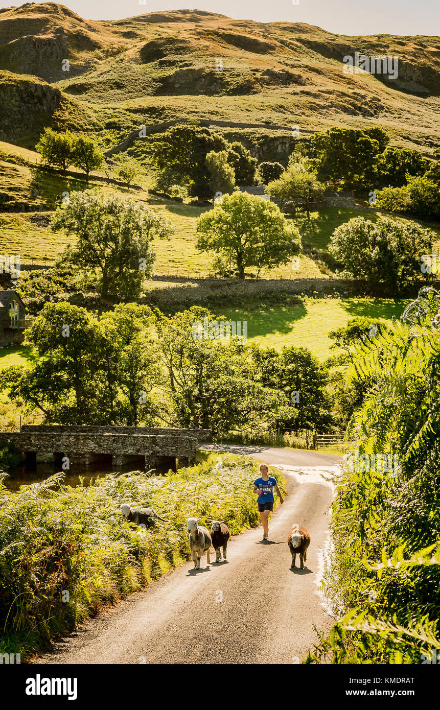 Passeggiate nel Lake District inglese tramite Martindale in Cumbria Regno Unito Foto Stock