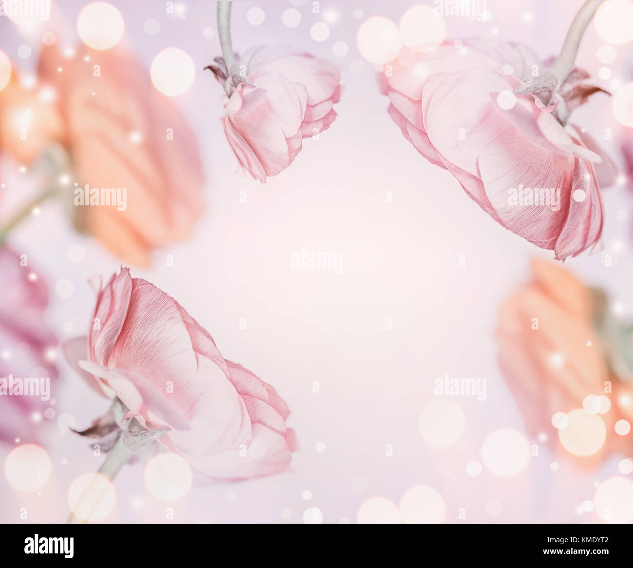 Rosa pastello floreale con sfondo bokeh , telaio. Festa della scheda Messaggi di saluto. Foto Stock