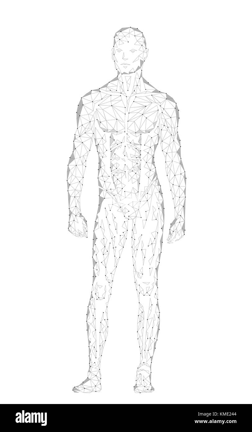 Forte sano il corpo umano in piedi modello 3d bassa poli design. androide robot umanoide ottimale di perfetto uomo fitness sport forma. poligonale punto geometrico delle particelle di linea grigio bianco illustrazione vettoriale Illustrazione Vettoriale