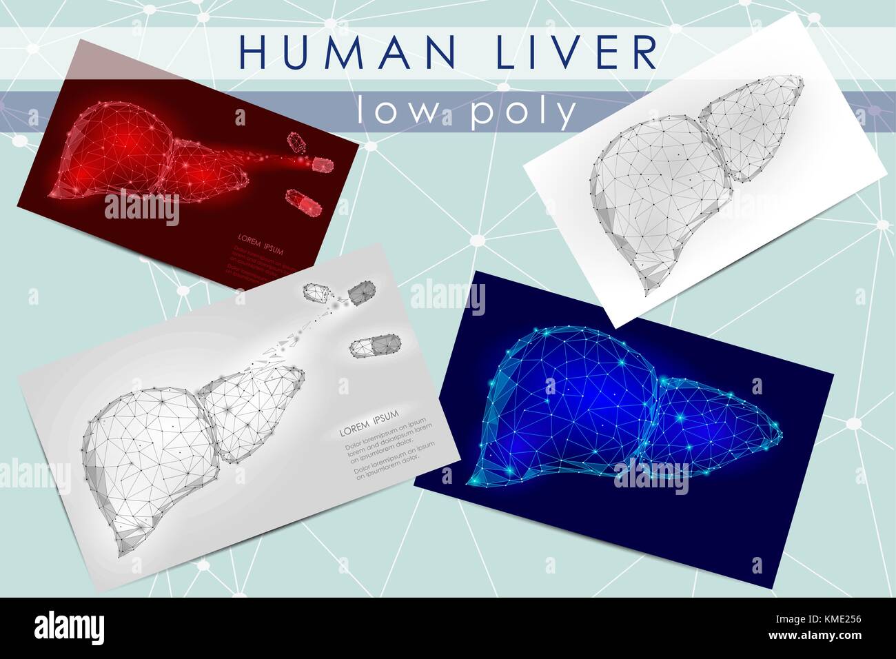 Il fegato umano a bassa poli medicina Scienza illustrazione set. organo interno anatomico curare dolore concetto. aiuta a mantenere la salute del meccanismo di farmaco vettore d'azione poligonale punto geometrico linea Illustrazione Vettoriale