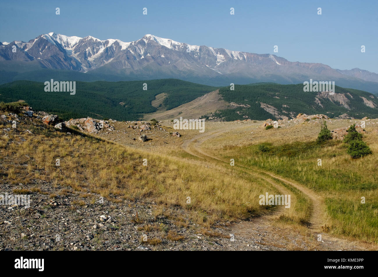 La strada attraverso un deserto secco steppa su un altopiano di montagna altopiano con erba gialla alberi con gamme di colline le rocce su un orizzonte skyline kurai altai Foto Stock La strada attraverso un deserto secco steppa su un altopiano di montagna altopiano con erba gialla alberi con gamme di colline le rocce su un orizzonte skyline kurai altai Foto Stock