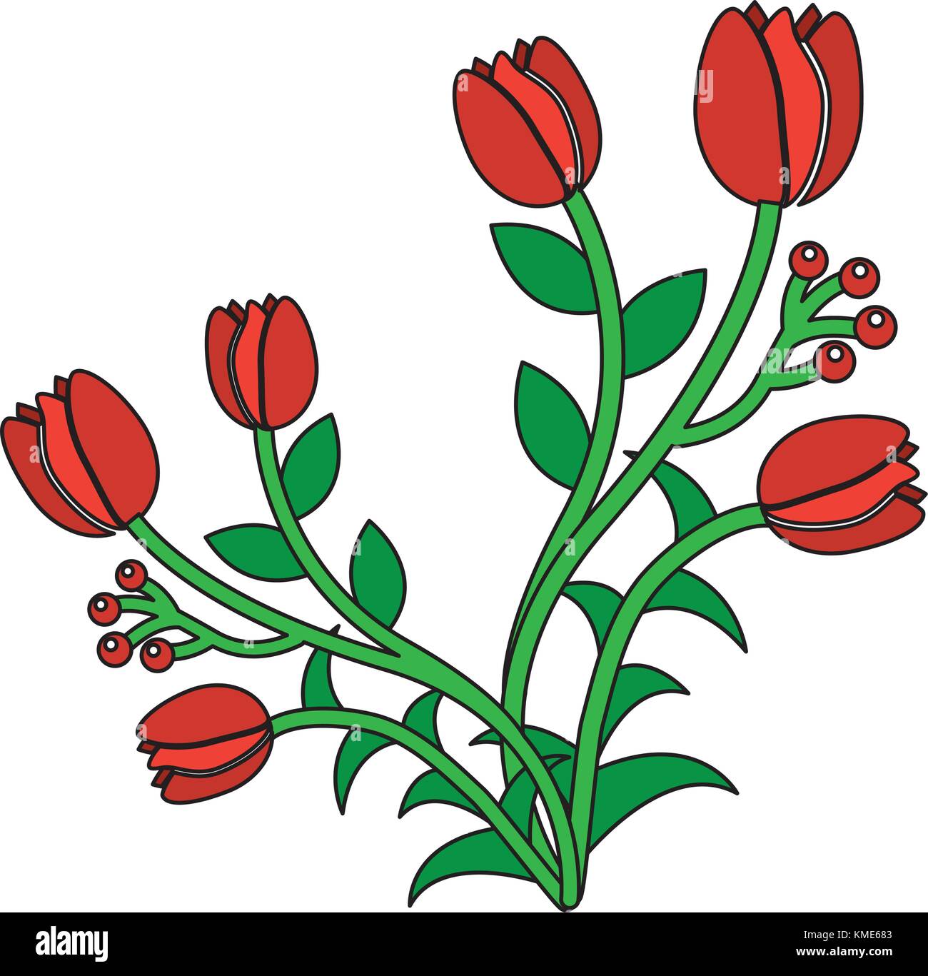 Bacche di rose bud floreale di fiori natura dello stelo Illustrazione Vettoriale