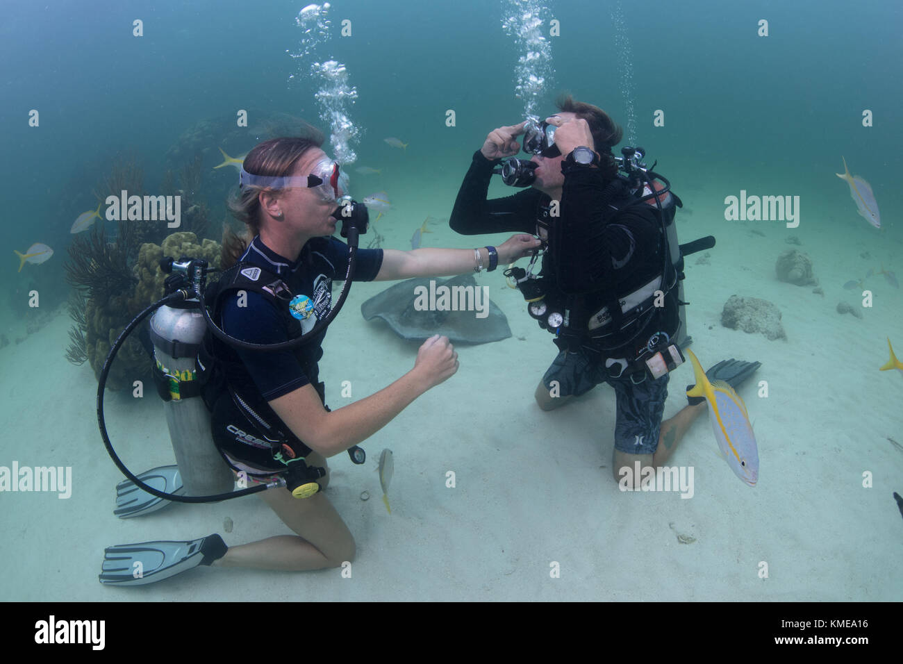 Subacquei eseguire la cancellazione maschera competenze nelle acque poco profonde di stingray city, Grand Cayman Foto Stock