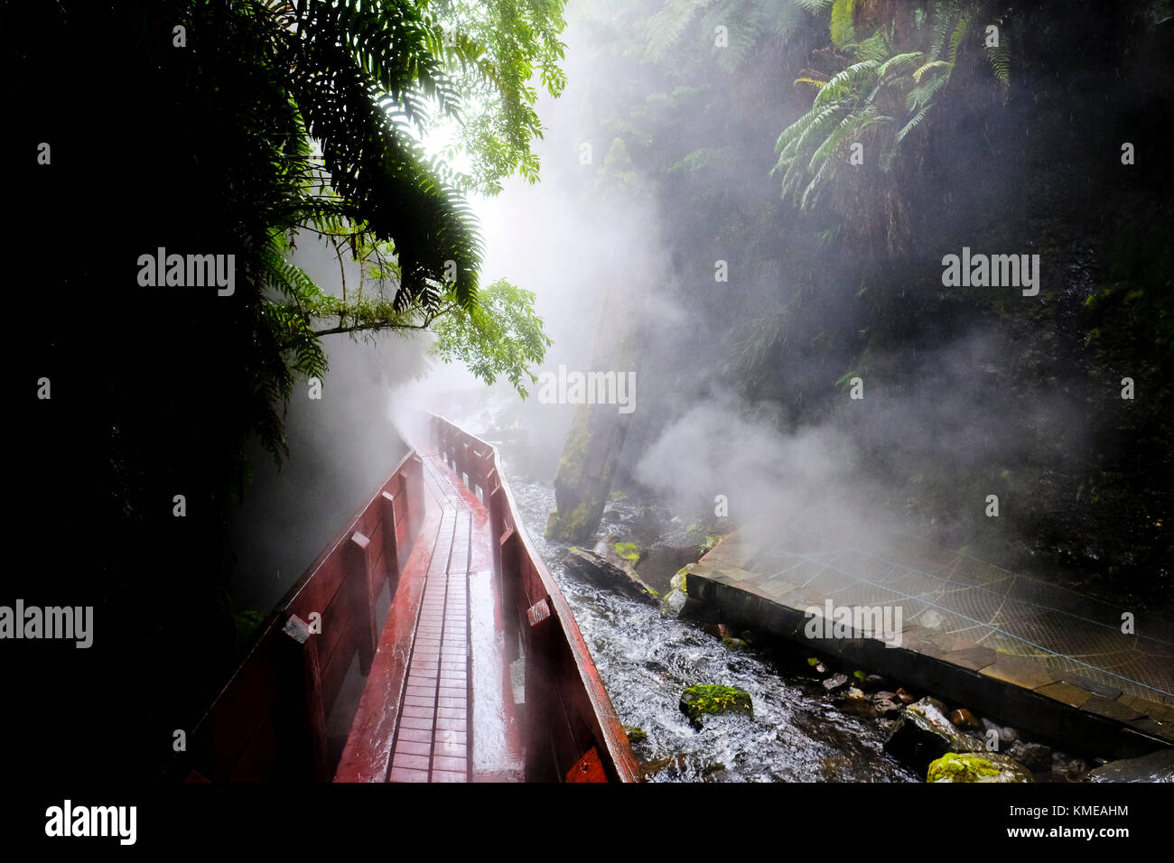 Sorgenti termali, Pucon, regione di Araucania, Cile Foto Stock