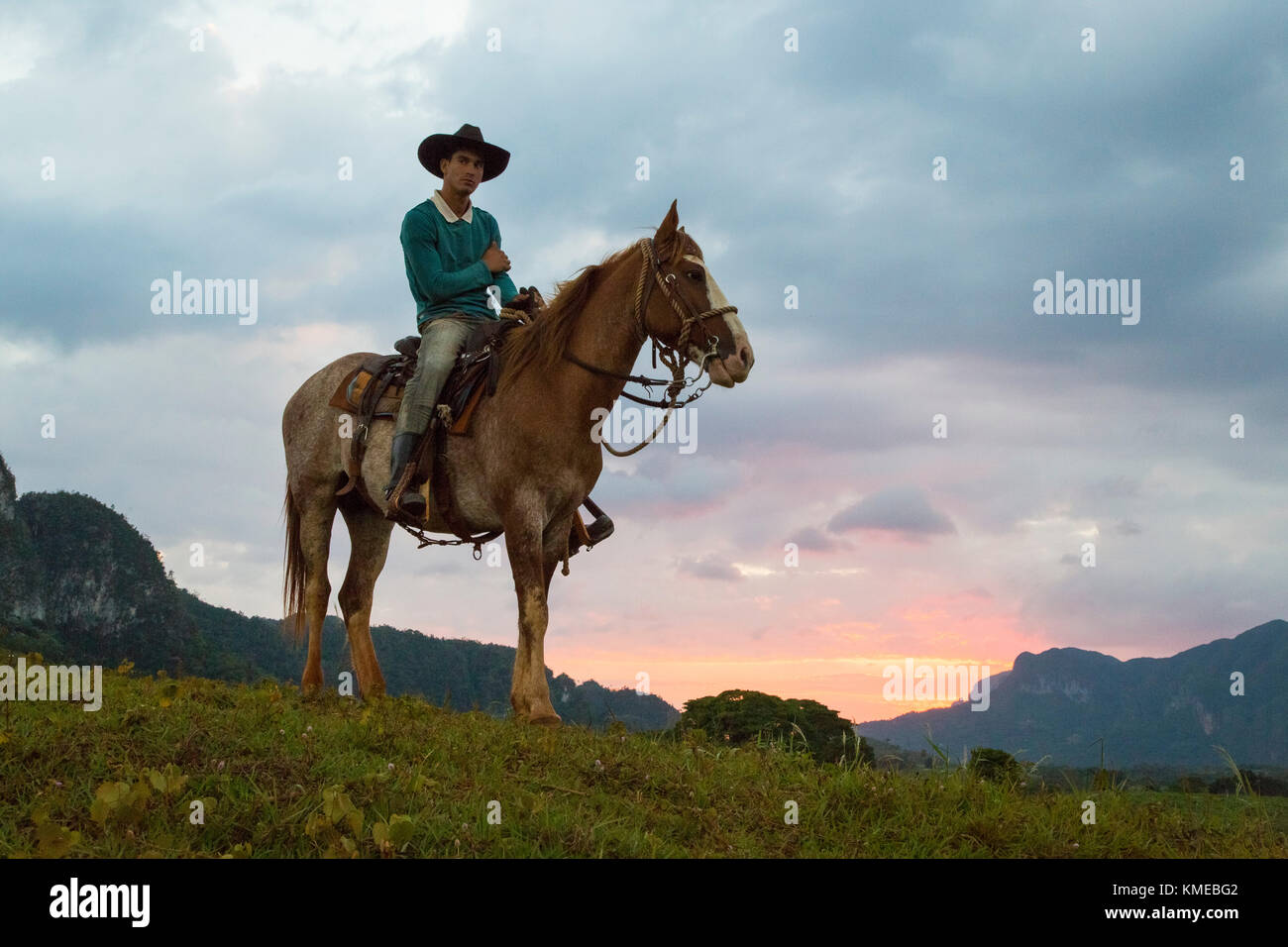 Escursione a cavallo attraverso le piantagioni di fincas di tabacco nella valle di Vinales, occidentale Cuba Foto Stock