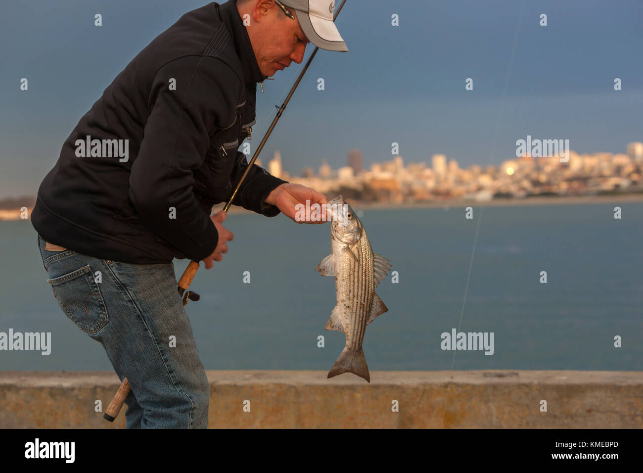 Azienda pescatore pescato striped bass (Morone saxatilis), Golden Gate Pier, San Francisco, California, Stati Uniti d'America Foto Stock