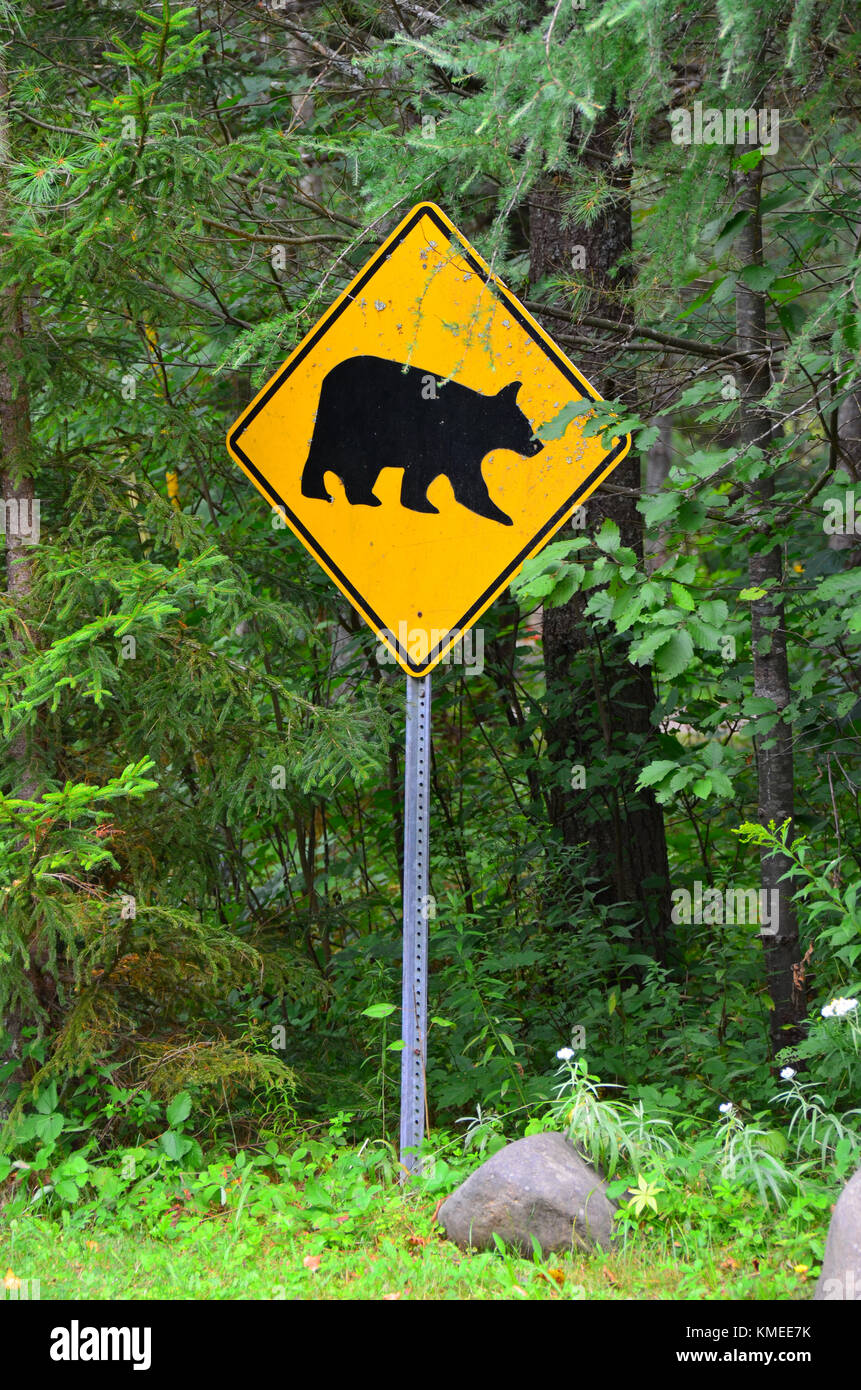 Montagne Adirondack, NY segnaletica di avvertimento black bear area di intersezione nel deserto. Foto Stock