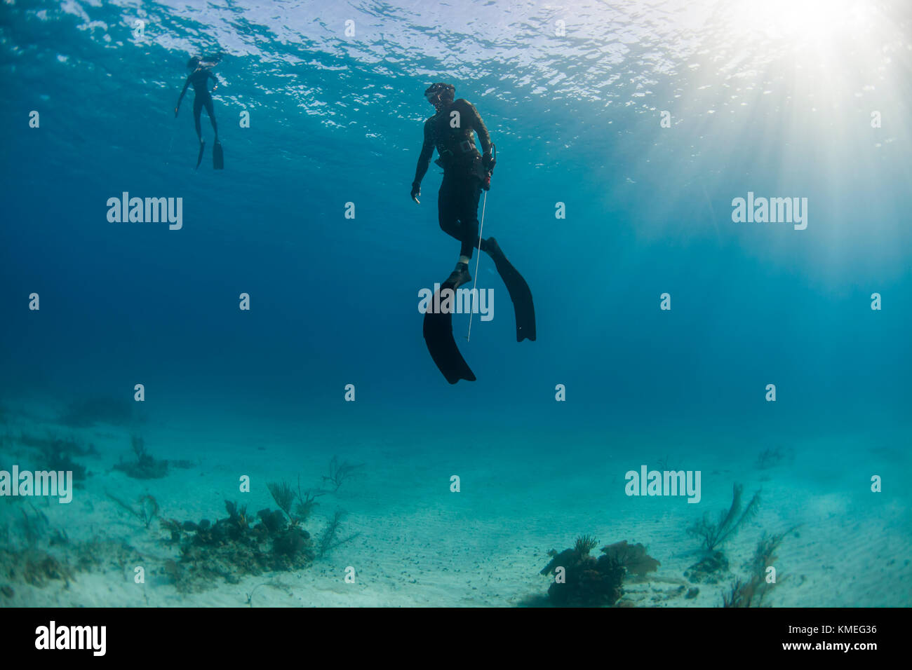 Due subacquei pesca subacquea in mare, Clarence Town, Long Island, Bahamas Foto Stock
