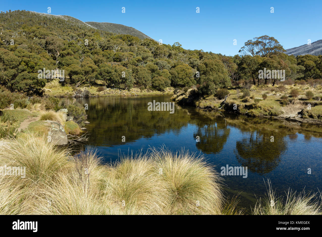 Il Thredbo River a Thredbo scavi in Kosciuszko Parco Nazionale delle montagne innevate nel sud del New South Wales. Foto Stock