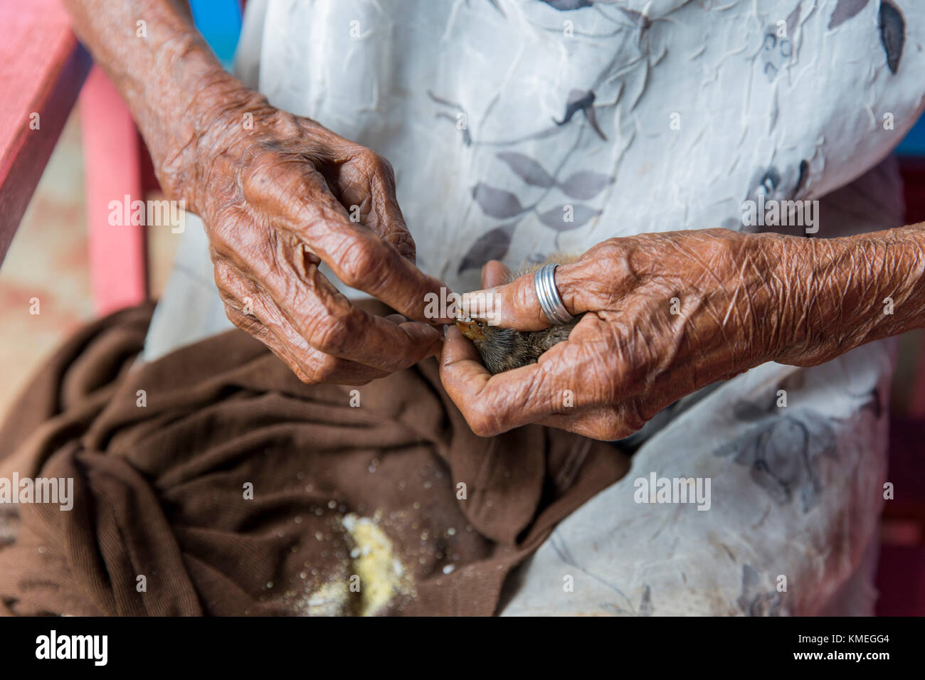 Una donna nutre il suo cazzo un grano di riso in Parque Natural Majayara a Baracoa, Cuba. Foto Stock