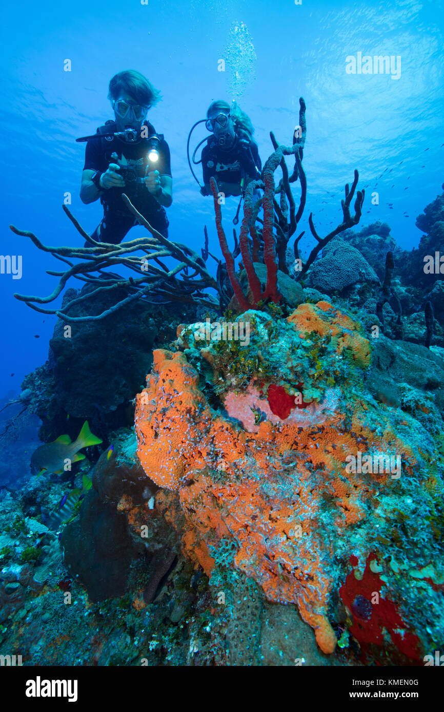 Subacquei esplorare un reef in Grand Cayman. Foto Stock