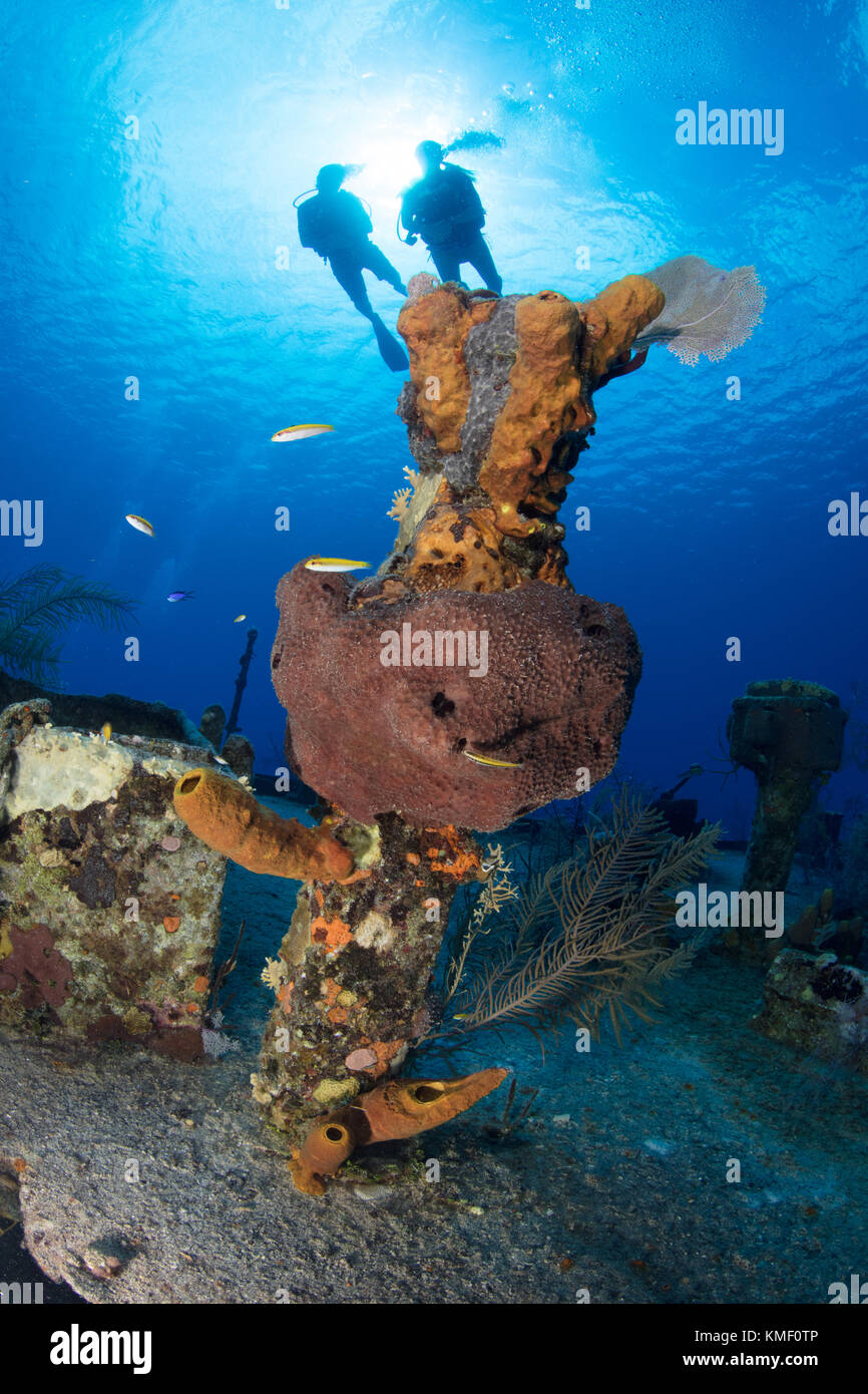 I subacquei sul relitto dell'oro verde, Grand Cayman Foto Stock