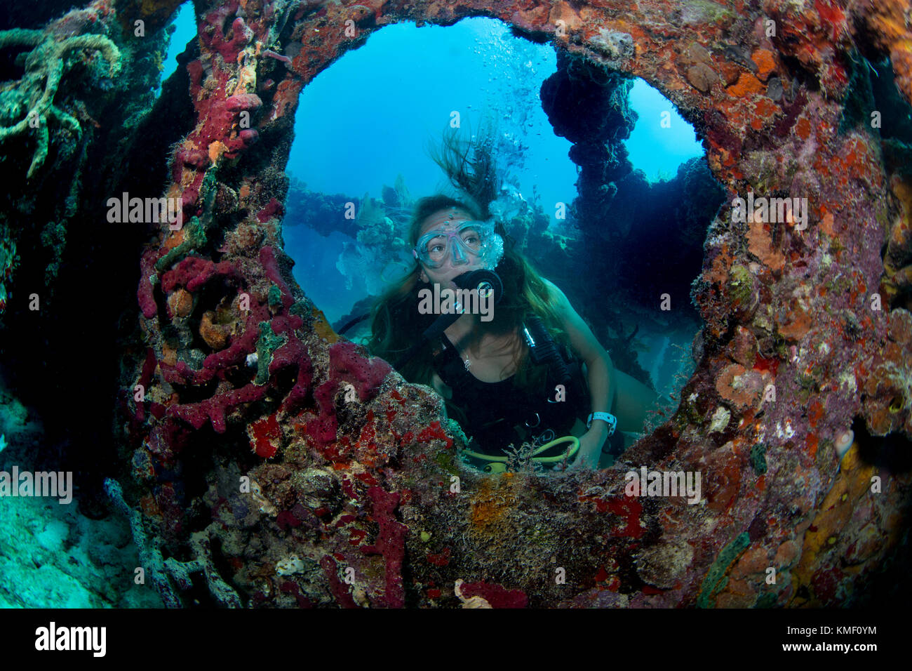 Scuba Diver esplora il relitto di flagler la chiatta. Foto Stock