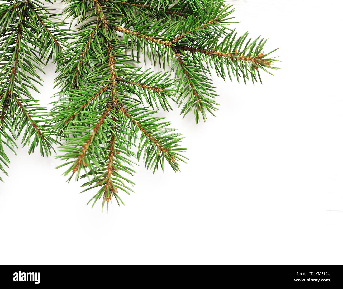 Mockup albero di natale rami bordo bianco su sfondo isolato, con spazio per il testo Foto Stock