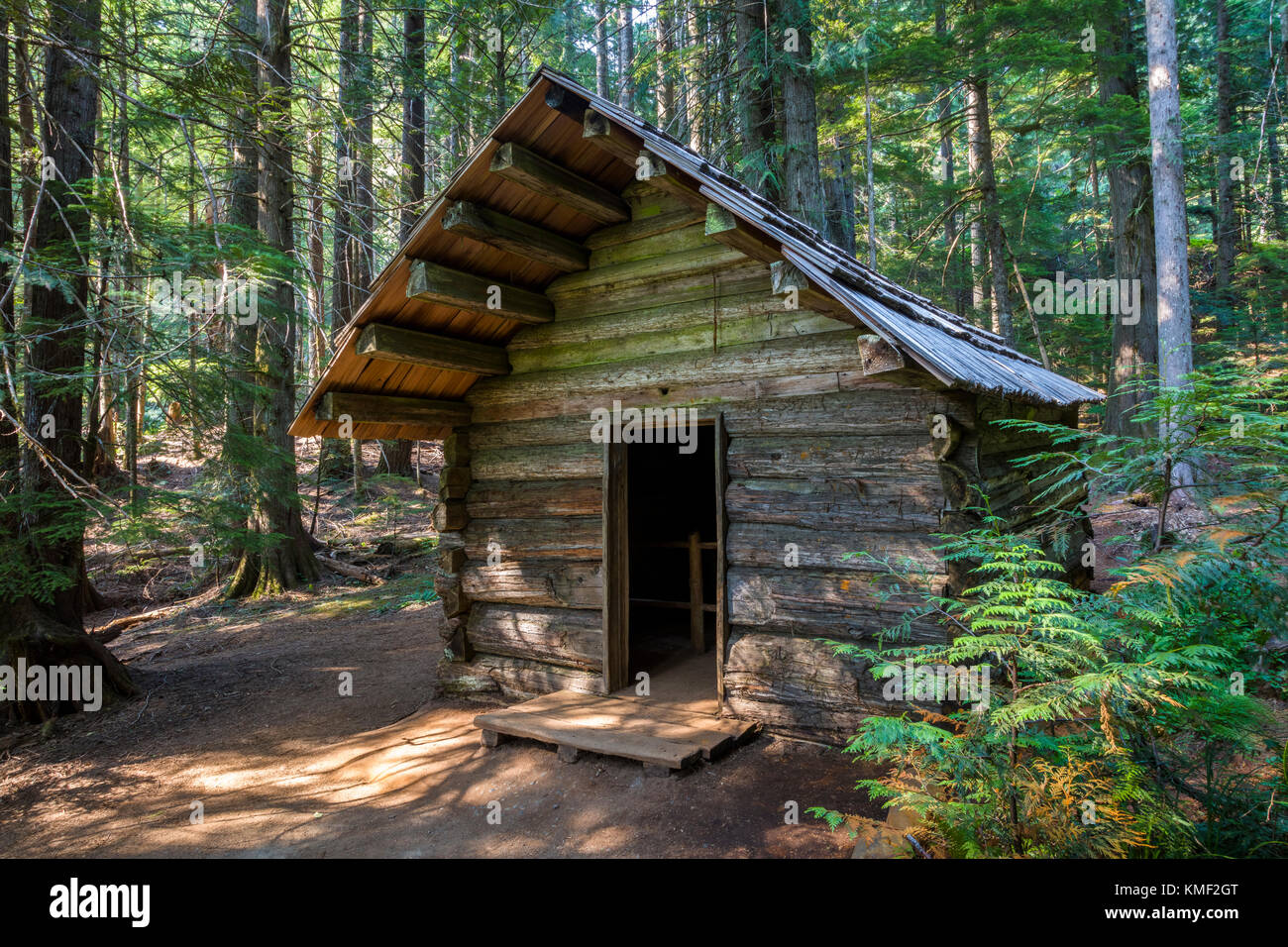 Cabib costruito nel 1888 da Elcaine Longmire sul Longmire Meadow Trail nel Mt Rainier National Park nello stato di Washington negli Stati Uniti Foto Stock