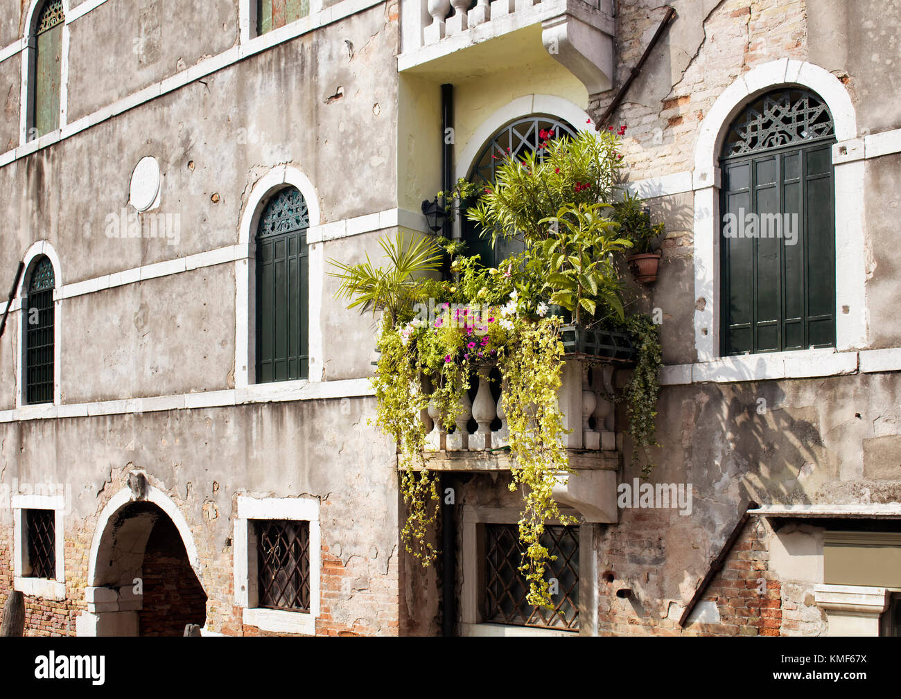 Molti fiori e piante in balcone della vecchia, storico edificio tipico di Venezia. immagine mostra lo stile architettonico e lo stile di vita della regione. Foto Stock