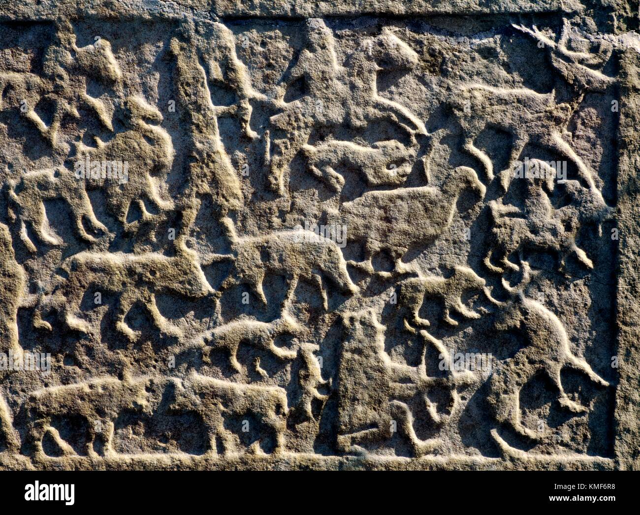 La caccia di animali sulla scena scolpita Pictish celtica simbolo cristiano pietra a Shandwick, Easter Ross, regione delle Highlands, Scozia Foto Stock