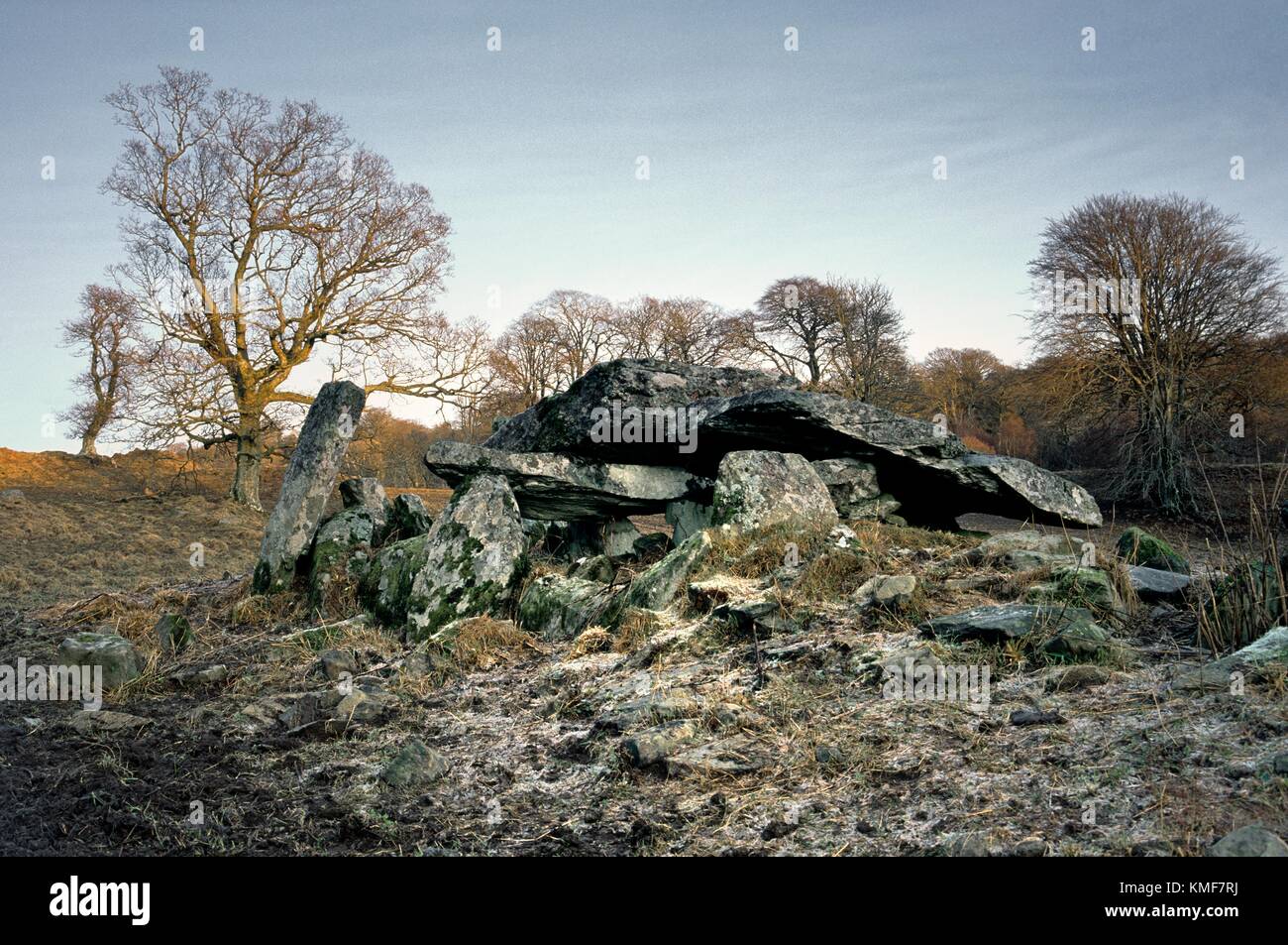 5000 anno di età della pietra preistorici sepoltura chambered cairn a Duntrune nella valle Kilmartin Argyll and Bute, Scotland, Regno Unito Foto Stock