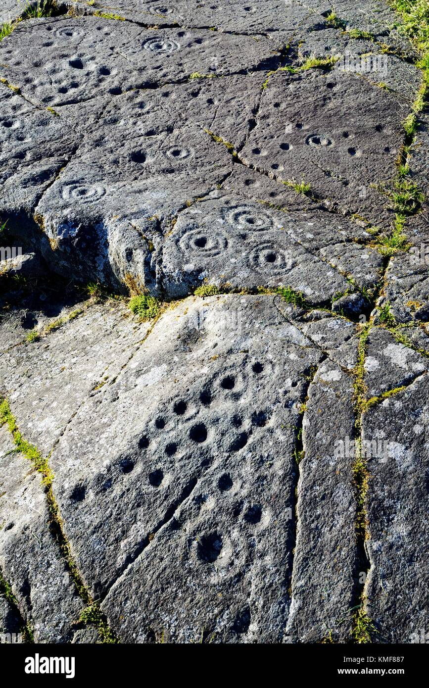 Cup e anello di marchi marchio neolitico preistoriche rupestri su roccia naturale affioramento a Baluachraig in Kilmartin Valley, Argyll, Scotland, Regno Unito Foto Stock