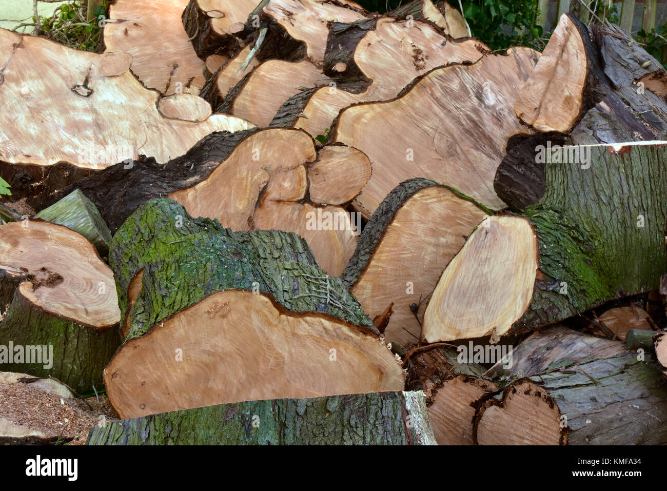 Un gran mucchio di tagliata o segata, tritato la legna o log pronti in un palo per la masterizzazione su un fuoco aperto o la stufa. Una pila di tronchi pronti per essere utilizzati come carburante. Foto Stock