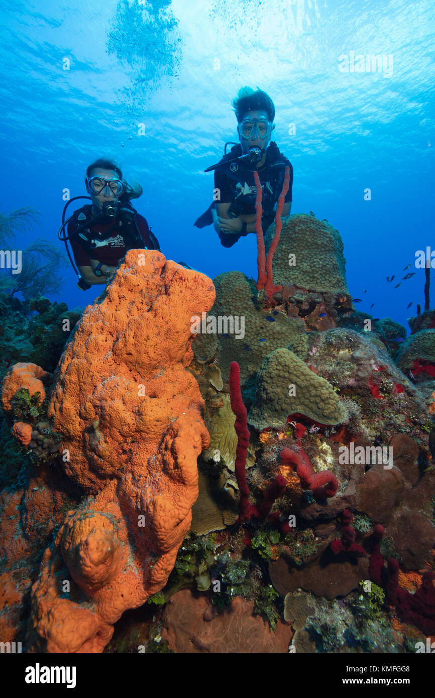 Subacquei esplorare un reef in Grand Cayman. Foto Stock