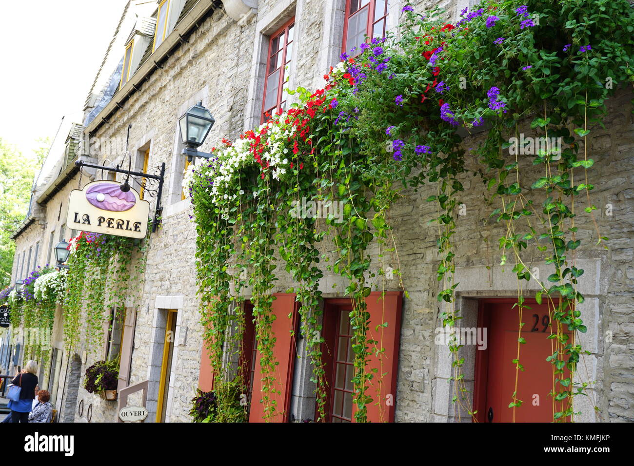 Piante colorate a cascata verso il basso le pareti in ciottoli nel Petit-Champlain Historic District (Quartier du Petit), Old Quebec City, QC, Canada Foto Stock