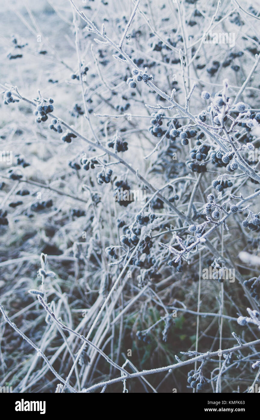 Ghiaccio secco fresco bianco (anidride carbonica congelata) con effetto fumo  nella ciotola di vetro sullo sfondo di legno marrone scuro Foto stock -  Alamy