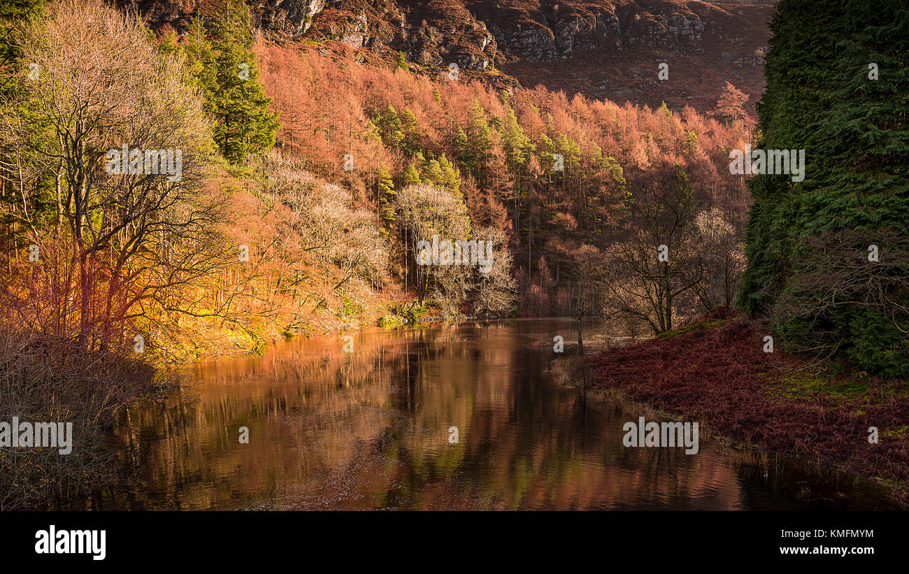 Un paesaggio autunnale shpwing fiume elan nell'Elan valley mid wales uk serpeggianti tra bei colori che si riflettono nel fiume Foto Stock