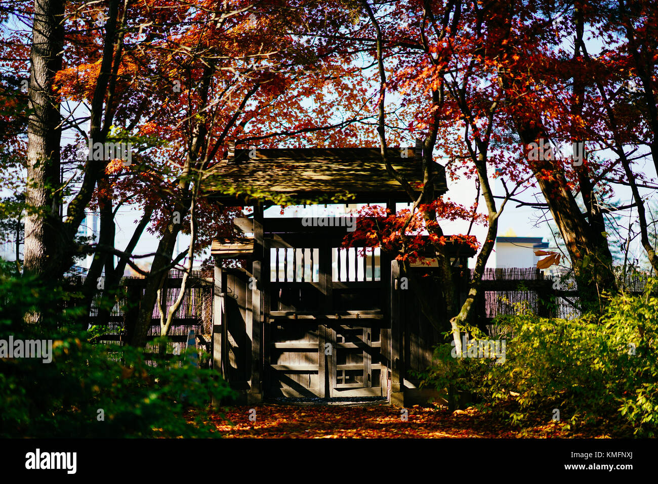 Stile giapponese edificio con autunno faliage Foto Stock